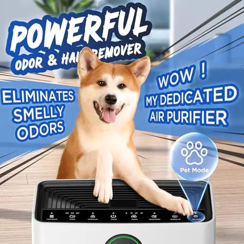Best Air Purifier For Pets With Washable Filter