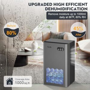 Best Automatic Dehumidifier