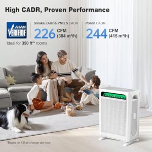 Best Air Purifier For Allergies And Asthma