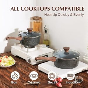 Best Saucepan With Lid