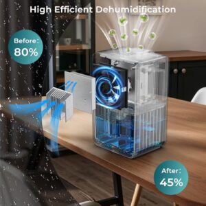 Best Dehumidifier For 400 Square Feet