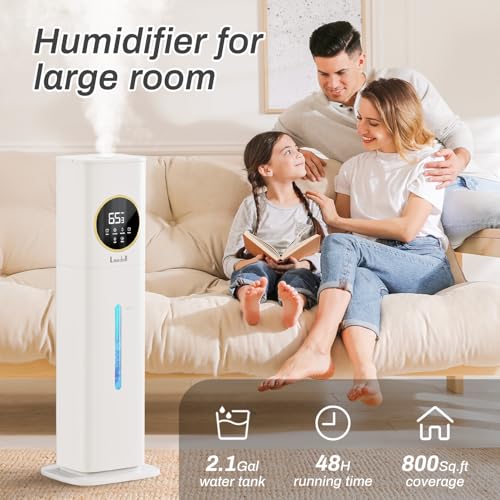 Best Humidifier For Bronchitis Adults