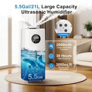 Best Humidifier For 2000 Square Feet