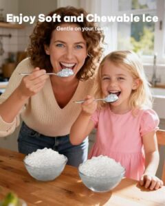 Best Pellet Ice Maker