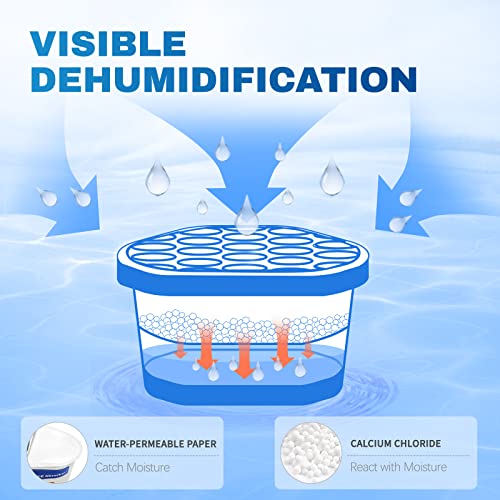 Best Humidity In Basement