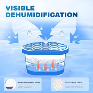 Best Dehumidifier For Books