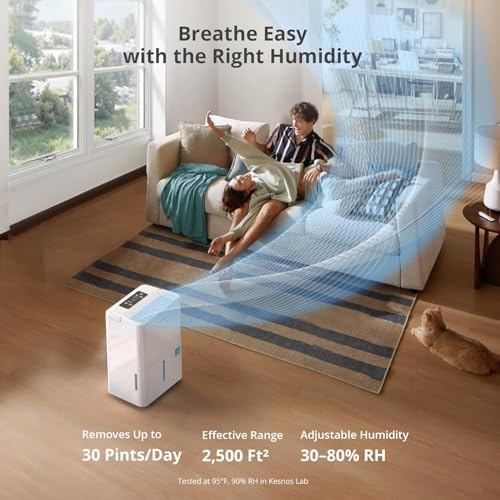 Best Dehumidifier Low Energy