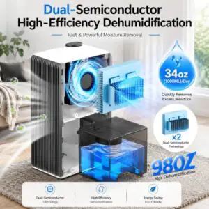 Best At Home Dehumidifier