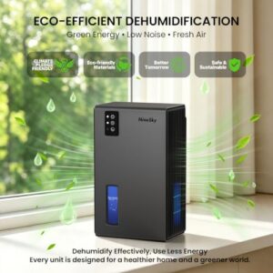 Best Medium Sized Dehumidifier