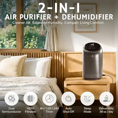 Best Air Purifier Dehumidifier