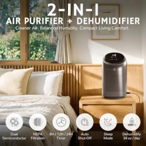Best Dehumidifier Air Purifier