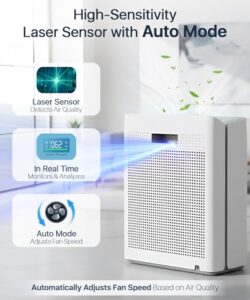 Best Mold Spore Air Purifier