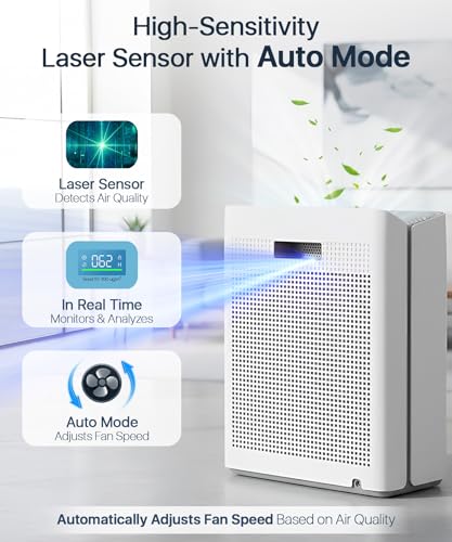 Best Mold Spore Air Purifier