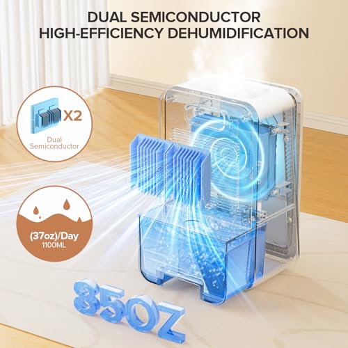 Best Van Dehumidifier