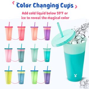 Best Plastic Tumbler With Straw