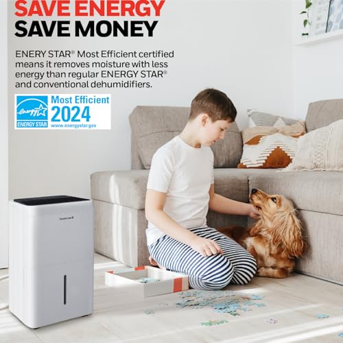 Best Honeywell Dehumidifier