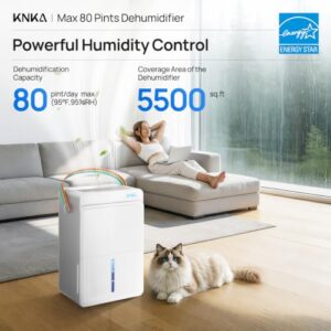 Best Dehumidifier For Drying Laundry