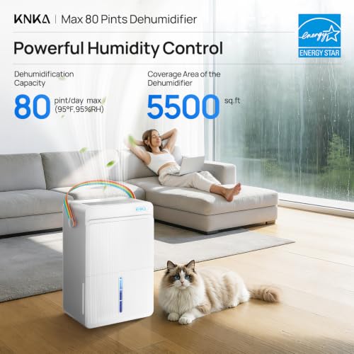 Best Heavy Duty Basement Dehumidifier