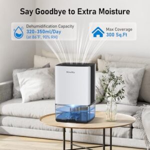 Best Dehumidifier For 300 Square Feet