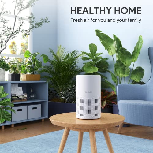 Best Portable Air Filter