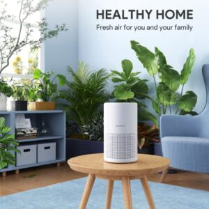 Best Portable HEPA Air Purifier