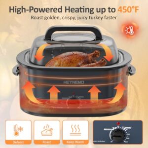 Best Electric Roaster