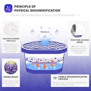 Best Humidity For Basement In Summer