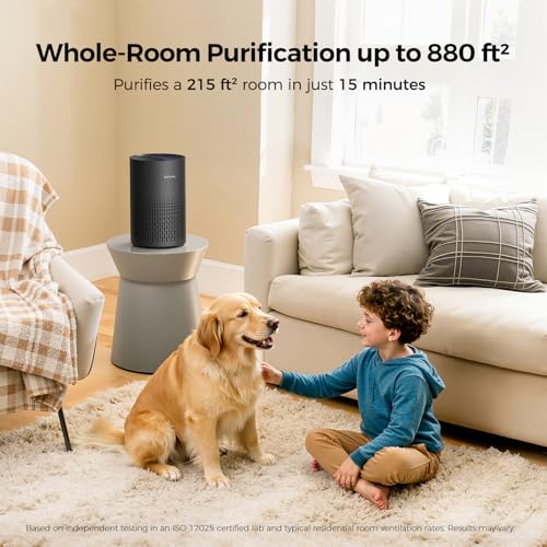 Best Air Filter To Remove Dust