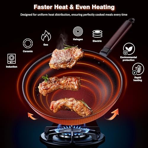 Best Electric Stove Wok