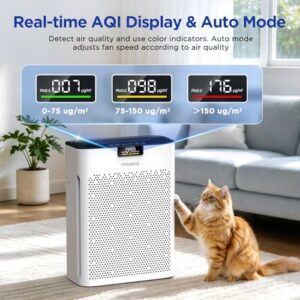 Best Air Filter For Dust