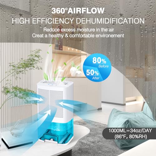 Best Small Dehumidifier For Laundry Room