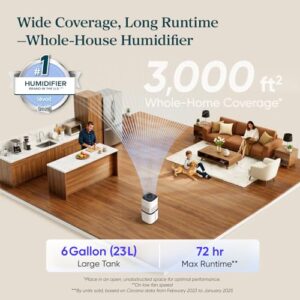 Best All House Humidifier