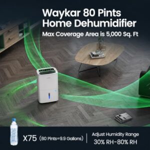 Best Portable Whole House Dehumidifier