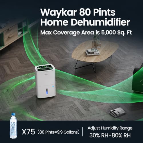 Best Portable Whole House Dehumidifier