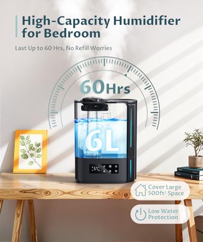 Best Room Humidifier With Humidistat