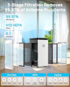 Best VOC Air Filter