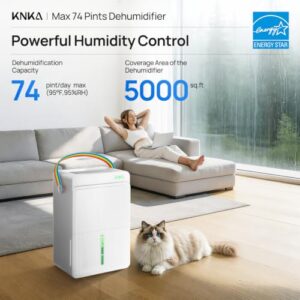 Best Dehumidifier For 400 Sq Ft Room