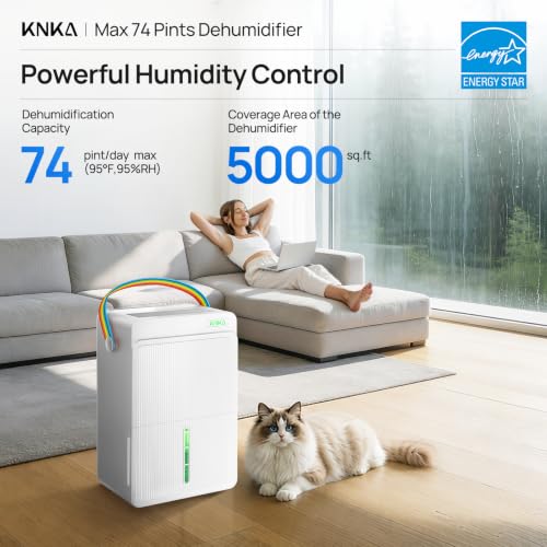 Best Dehumidifier For 400 Sq Ft Room
