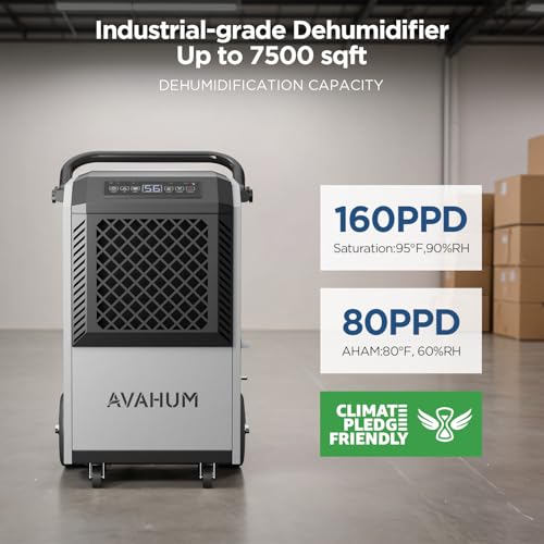 Best Industrial Dehumidifier For Basement