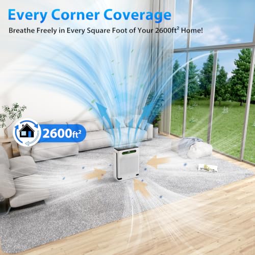 Best Air Filter Purifier