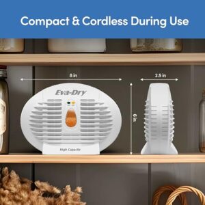 Best Battery Operated Dehumidifier