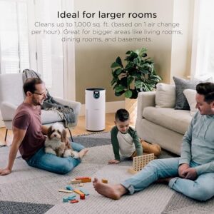 Best Air Purifier 1000 Square Feet