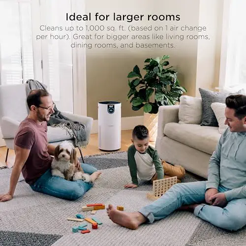 Best Air Purifier 1000 Square Feet