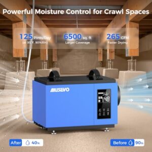 Best Commercial Dehumidifier For Crawl Space
