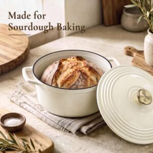 Best Ovens For Baking