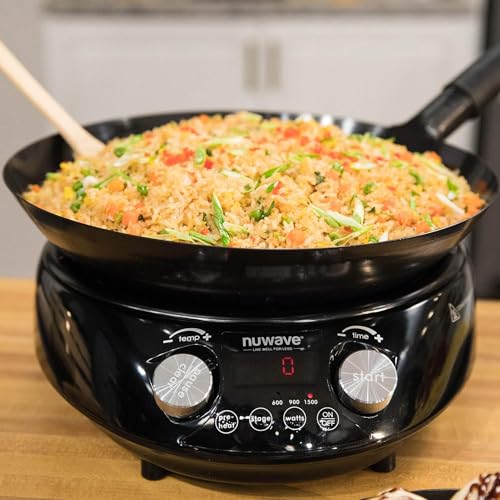 Best Induction Wok Burner