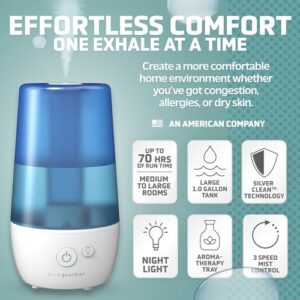 Best Humidifier For Cold Weather