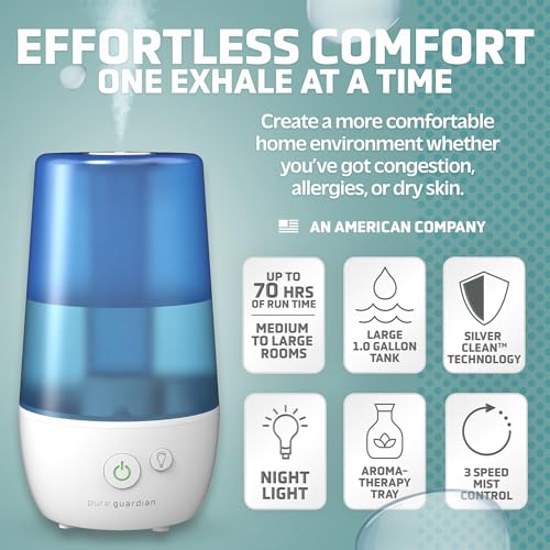 Best Humidifier For Cold Weather