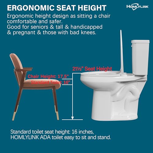 Best Tall Toilets For Seniors