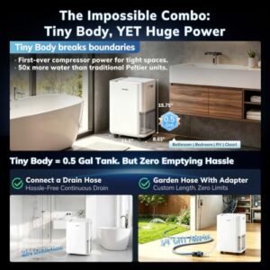 Best Dehumidifier With Humidistat